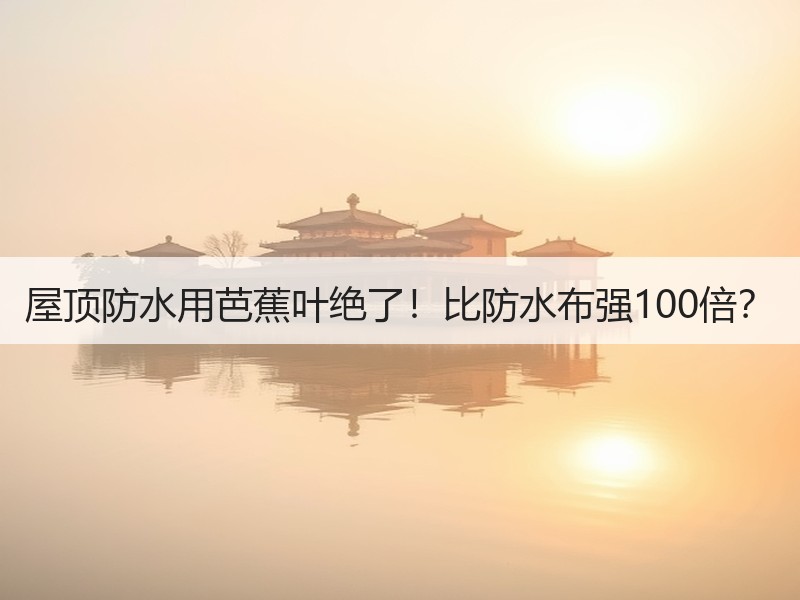 屋顶防水用芭蕉叶绝了！比防水布强100倍？