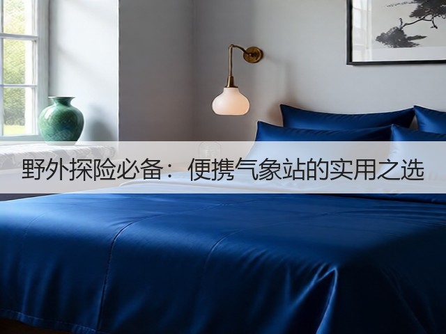 野外探险必备:便携气象站的实用之选(图2) 野外探险必备:便携气象站的实用之选(图2)