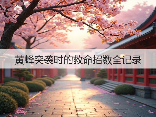 黄蜂突袭时的救命招数全记录(图2) 黄蜂突袭时的救命招数全记录(图2)