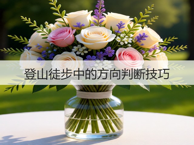 登山徒步中的方向判断技巧(图2) 登山徒步中的方向判断技巧(图2)