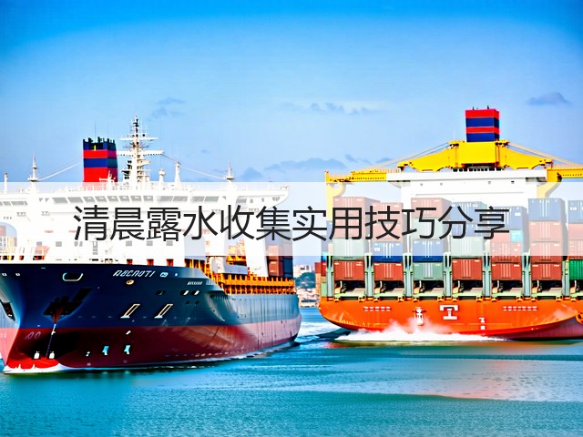 清晨露水收集实用技巧分享(图3) 清晨露水收集实用技巧分享(图3)