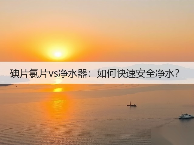 碘片氯片vs净水器:如何快速安全净水?(图1) 碘片氯片vs净水器:如何快速安全净水?(图1)