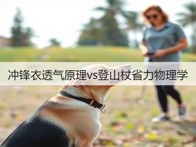 冲锋衣透气原理vs登山杖省力物理学