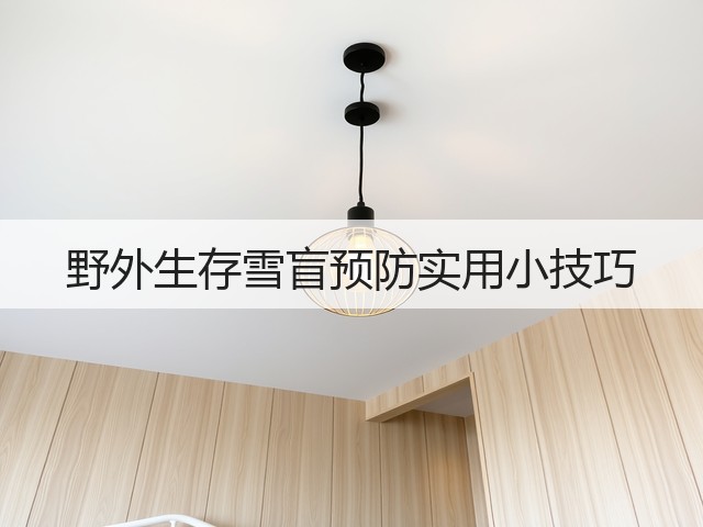 野外生存雪盲预防实用小技巧(图3) 野外生存雪盲预防实用小技巧(图3)