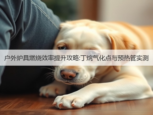 户外炉具燃烧效率提升攻略:丁烷气化点与预热管实测(图2) 户外炉具燃烧效率提升攻略:丁烷气化点与预热管实测(图2)
