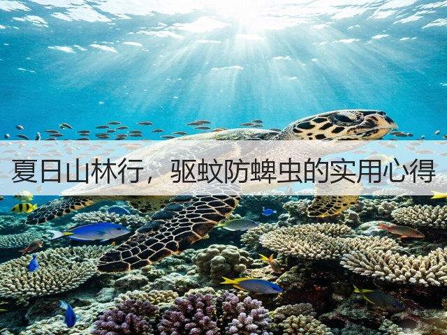 夏日山林行,驱蚊防蜱虫的实用心得(图1) 夏日山林行,驱蚊防蜱虫的实用心得(图1)