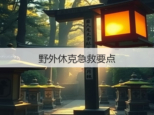 野外休克急救要点(图3) 野外休克急救要点(图3)