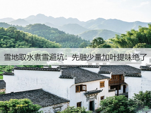 雪地取水煮雪避坑:先融少量加叶提味绝了(图2) 雪地取水煮雪避坑:先融少量加叶提味绝了(图2)