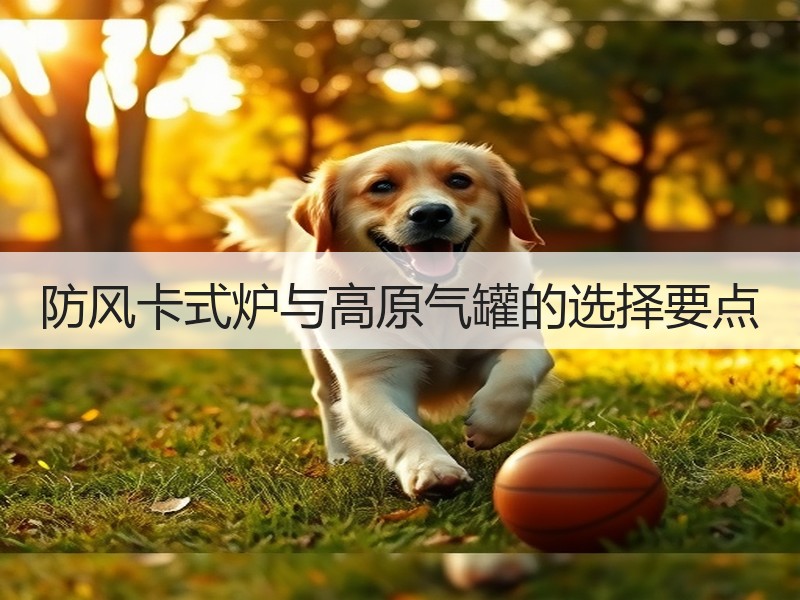 防风卡式炉与高原气罐的选择要点