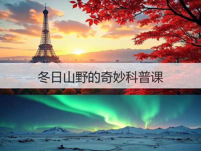 冬日山野的奇妙科普课(图2)