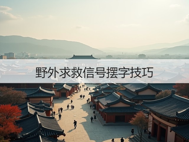 野外求救信号摆字技巧(图2) 野外求救信号摆字技巧(图2)
