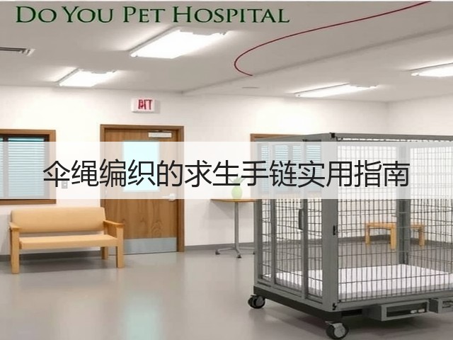 伞绳编织的求生手链实用指南(图2)