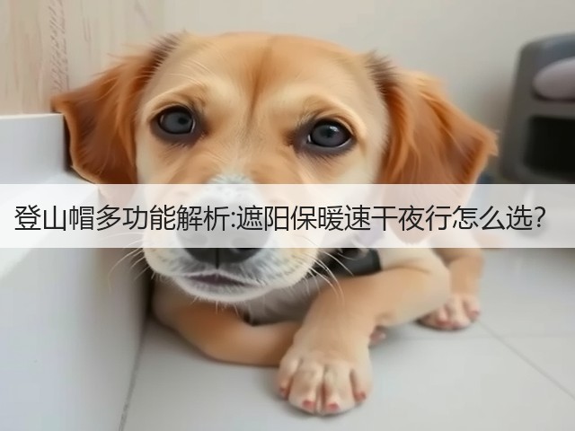 登山帽多功能解析:遮阳保暖速干夜行怎么选?(图1) 登山帽多功能解析:遮阳保暖速干夜行怎么选?(图1)