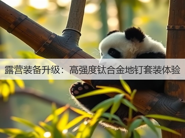 露营装备升级:高强度钛合金地钉套装体验(图2) 露营装备升级:高强度钛合金地钉套装体验(图2)