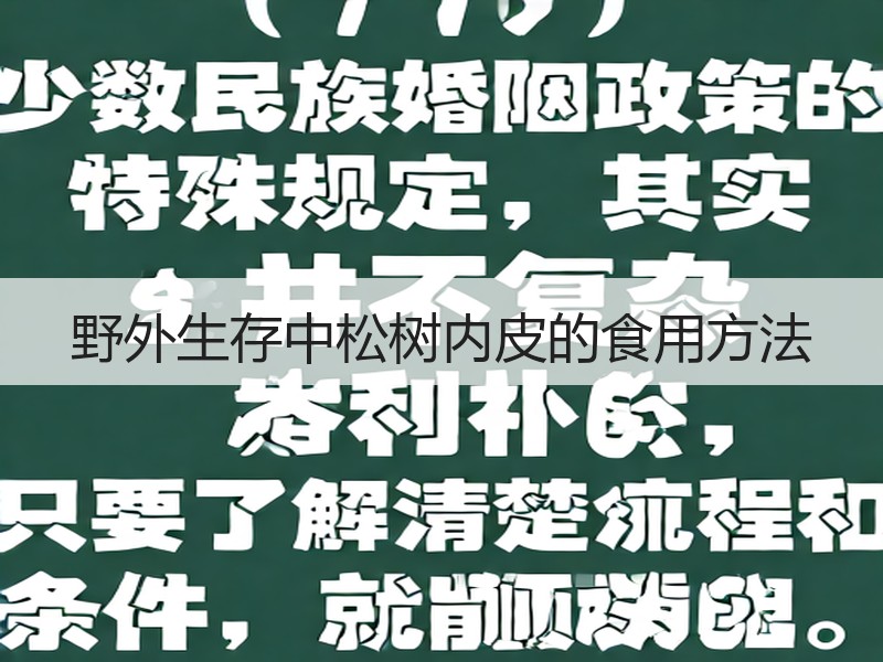 野外生存中松树内皮的食用方法