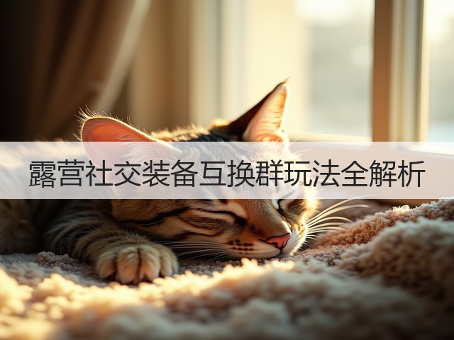 露营社交装备互换群玩法全解析(图3) 露营社交装备互换群玩法全解析(图3)