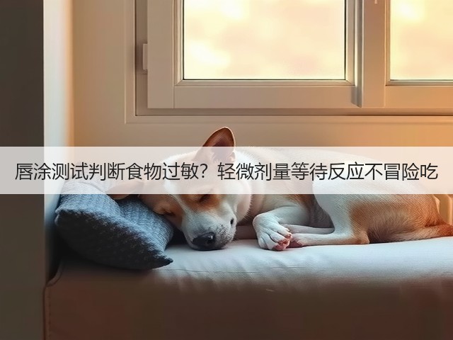 唇涂测试判断食物过敏?轻微剂量等待反应不冒险吃(图2) 唇涂测试判断食物过敏?轻微剂量等待反应不冒险吃(图2)