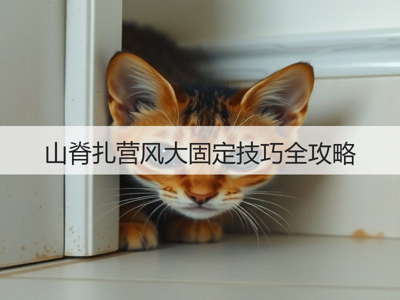 山脊扎营风大固定技巧全攻略