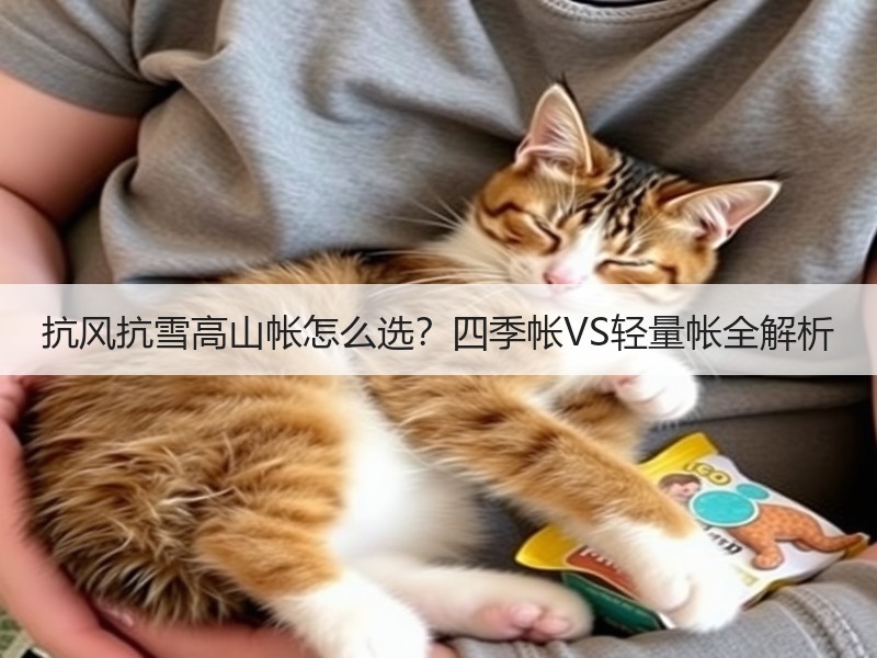 抗风抗雪高山帐怎么选？四季帐VS轻量帐全解析
