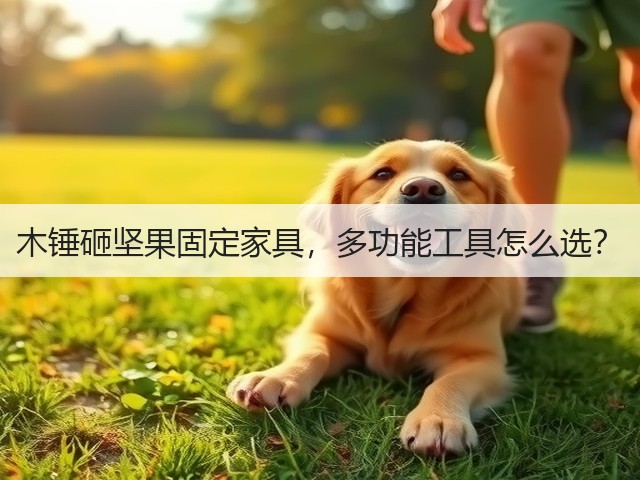 木锤砸坚果固定家具,多功能工具怎么选?(图3) 木锤砸坚果固定家具,多功能工具怎么选?(图3)