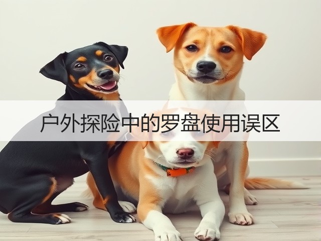 户外探险中的罗盘使用误区(图2) 户外探险中的罗盘使用误区(图2)