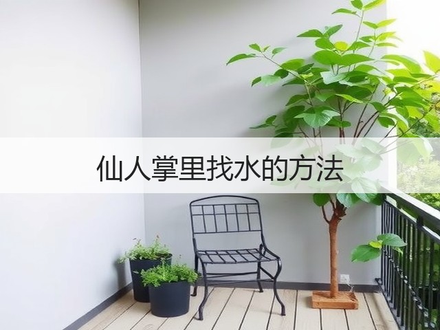 仙人掌里找水的方法(图2) 仙人掌里找水的方法(图2)