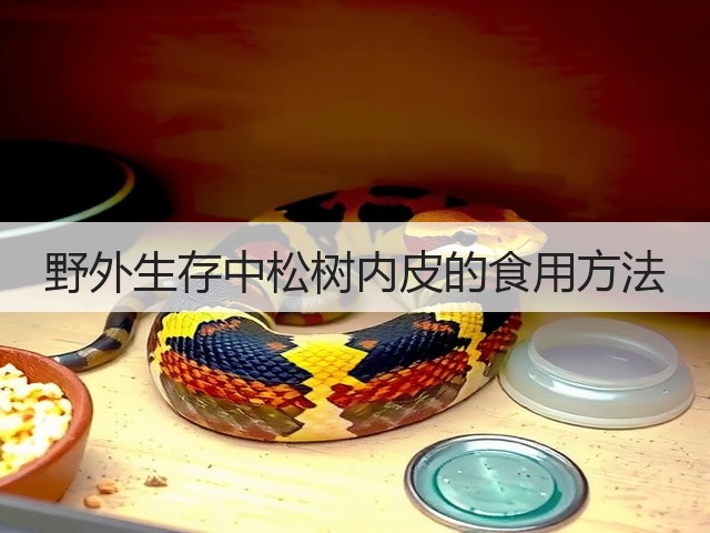 野外生存中松树内皮的食用方法(图2) 野外生存中松树内皮的食用方法(图2)