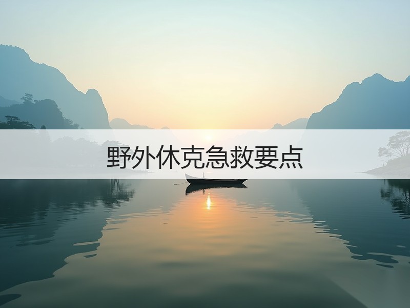 野外休克急救要点