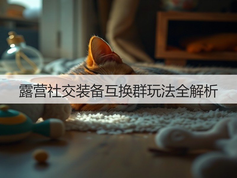 露营社交装备互换群玩法全解析