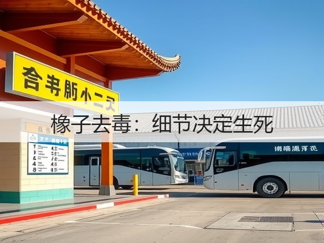 橡子去毒:细节决定生死(图3) 橡子去毒:细节决定生死(图3)