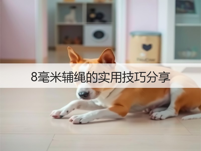 8毫米辅绳的实用技巧分享