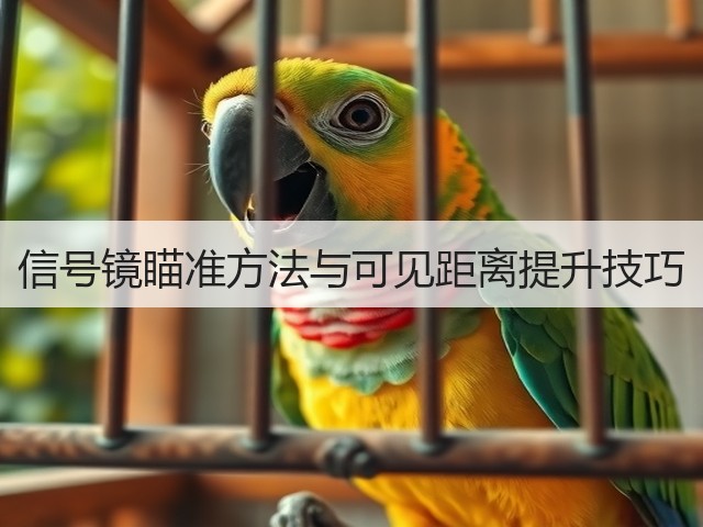 信号镜瞄准方法与可见距离提升技巧(图2) 信号镜瞄准方法与可见距离提升技巧(图2)