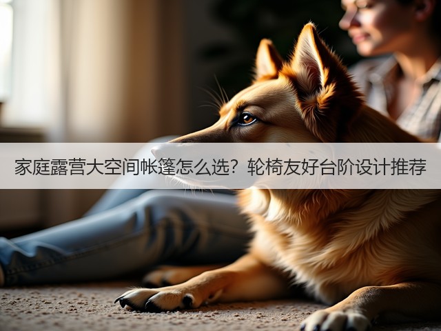 家庭露营大空间帐篷怎么选?轮椅友好台阶设计推荐(图1) 家庭露营大空间帐篷怎么选?轮椅友好台阶设计推荐(图1)