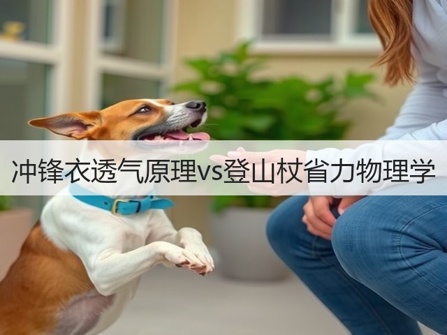 冲锋衣透气原理vs登山杖省力物理学(图1) 冲锋衣透气原理vs登山杖省力物理学(图1)