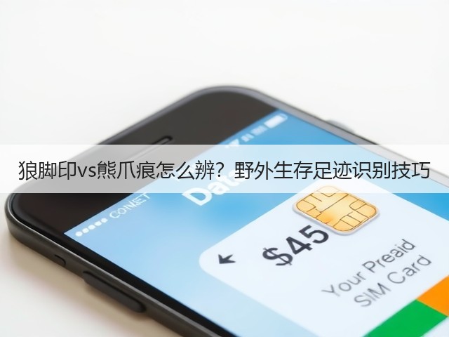 狼脚印vs熊爪痕怎么辨?野外生存足迹识别技巧(图3) 狼脚印vs熊爪痕怎么辨?野外生存足迹识别技巧(图3)