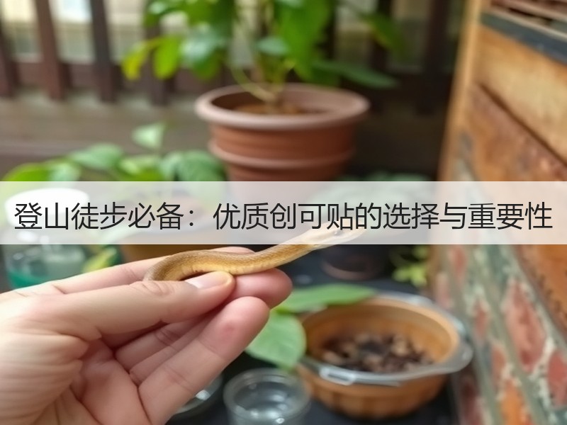 登山徒步必备：优质创可贴的选择与重要性