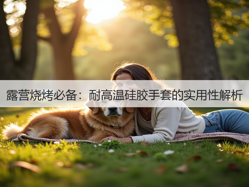 露营烧烤必备：耐高温硅胶手套的实用性解析