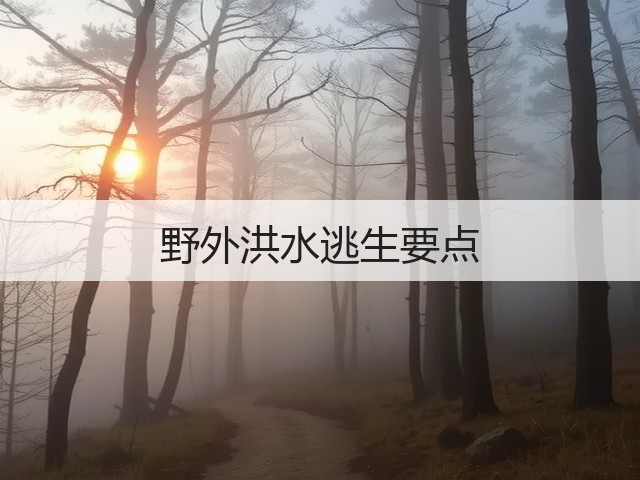 野外洪水逃生要点(图2) 野外洪水逃生要点(图2)