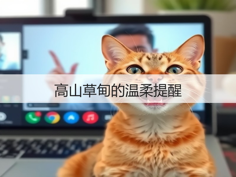 高山草甸的温柔提醒
